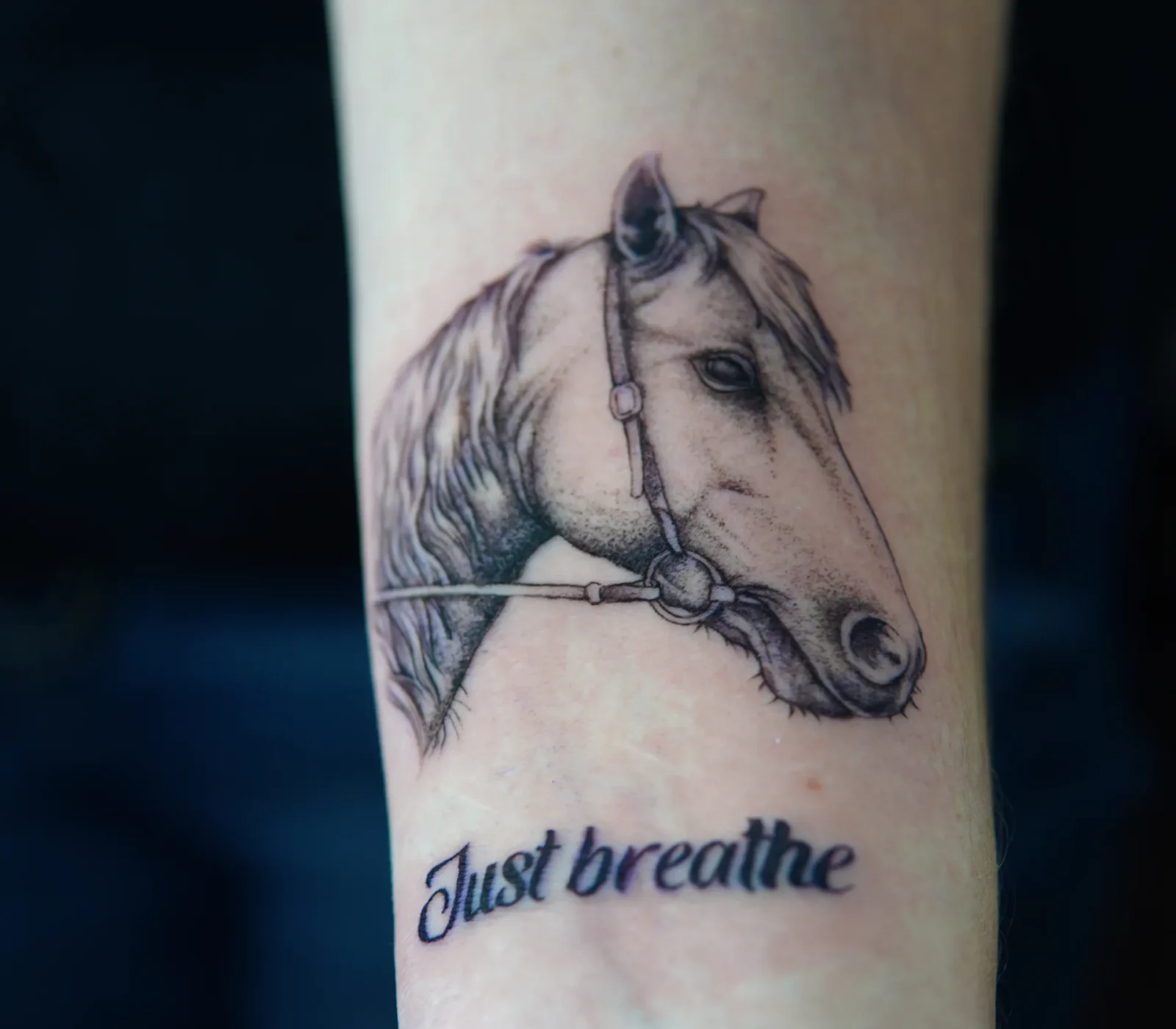 Horse portrait and “Just breathe” lettering tattoo on the forearm