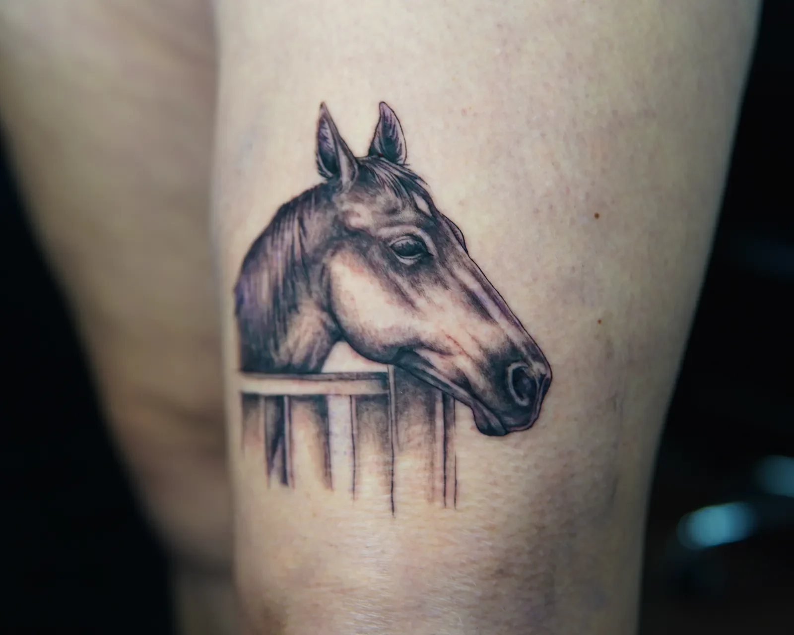 Realistic black-and-grey horse head tattoo on the thigh